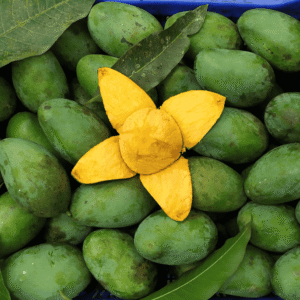 Amrupali Mango