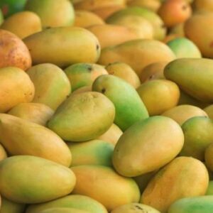 Amrupali Mango