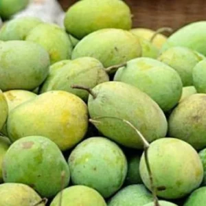 Langra Mango
