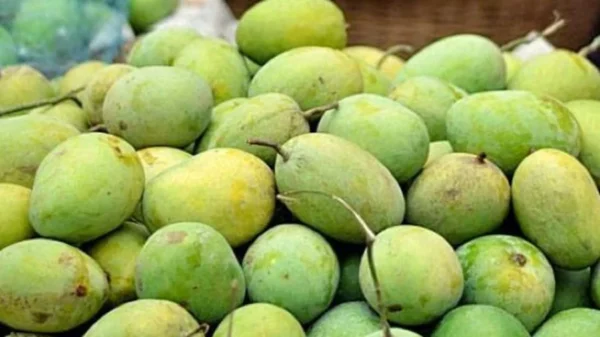 Langra Mango